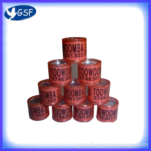 Pigeon Ring/Band (GSF-APPR)
